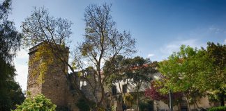 Dia 2 – O primeiro dia a sério