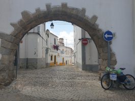 Dia 4 – O Primeiro Museu