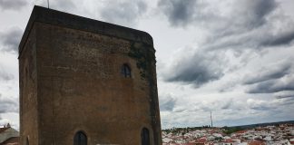 Dia 7 – Expedição a Redondo