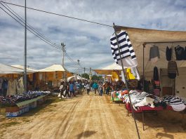 Dia 8 – Feira Mensal