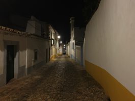 Dia 19 – Sábado