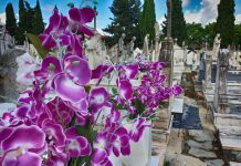 Dia 22 – RIP e SHE