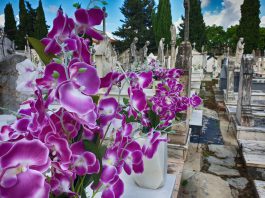 Dia 22 – RIP e SHE