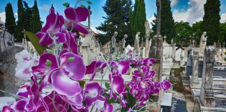 Dia 22 – RIP e SHE