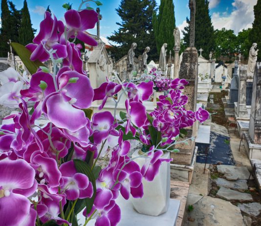 Dia 22 – RIP e SHE