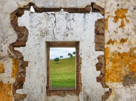 Dia 24 – Entre Pontos e Colinas