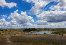 Dia 25 – Amieira e Alqueva com o Lago a Seus Pés