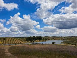 Dia 25 – Amieira e Alqueva com o Lago a Seus Pés