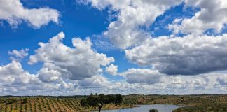 Dia 25 – Amieira e Alqueva com o Lago a Seus Pés