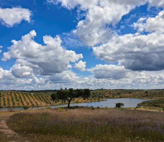 Dia 25 – Amieira e Alqueva com o Lago a Seus Pés